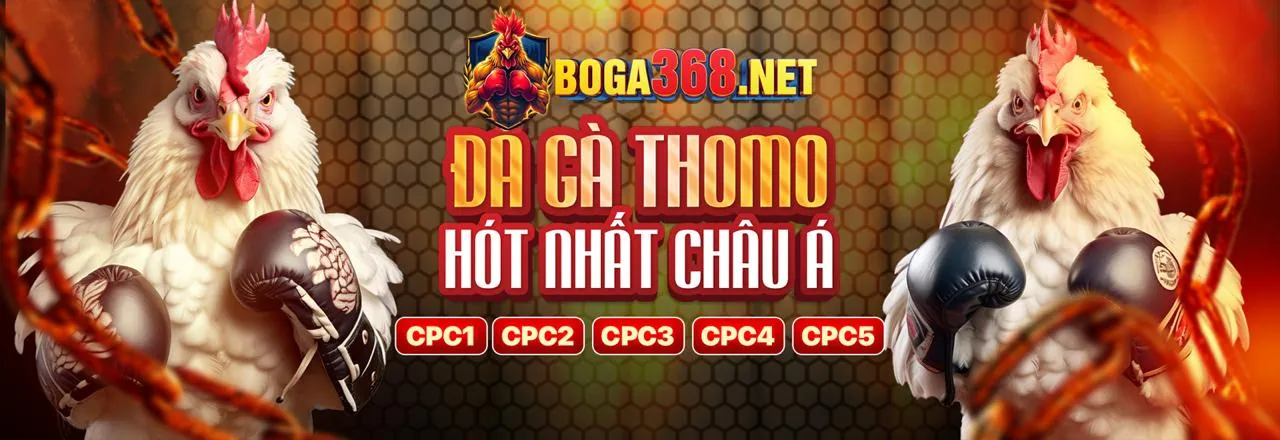 Sòng Bạc Trực Tuyến Roobet APK